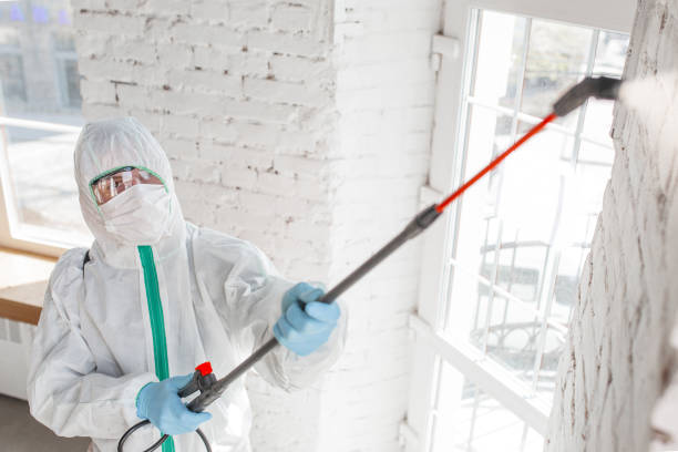 Best Commercial Mold Inspection  in Lawrenceburg, KY
