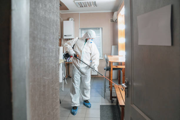 Best Post-Construction Mold Inspection  in Lawrenceburg, KY