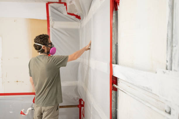 Best Asbestos and Lead Testing During Mold Inspection  in Lawrenceburg, KY