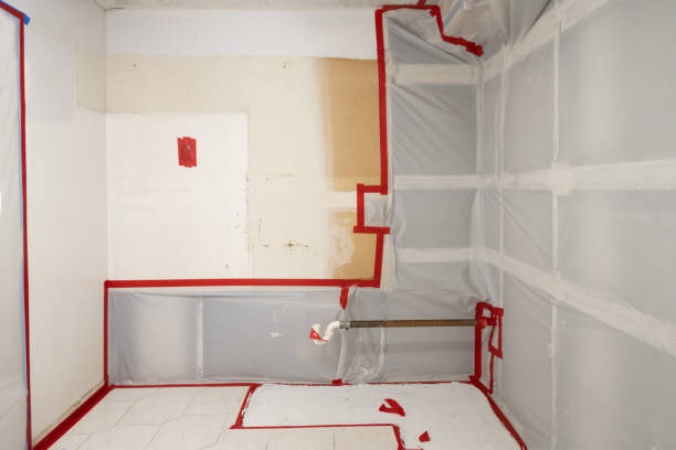 Best Mold Prevention Services  in Lawrenceburg, KY