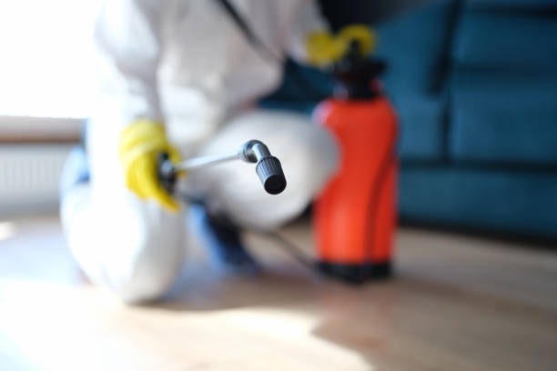 Mold Documentation for Insurance Claims in Lawrenceburg, KY