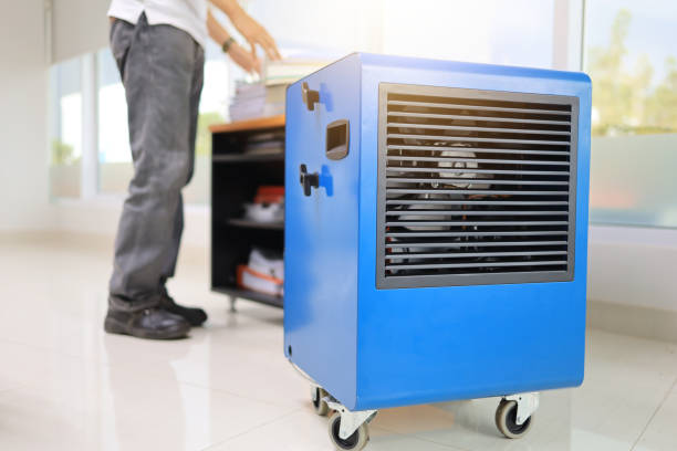 Mold Removal for HVAC Installations in Lawrenceburg, KY